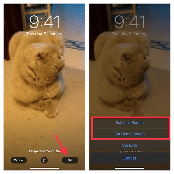 Use GIF como fondo de pantalla en vivo en iOS 