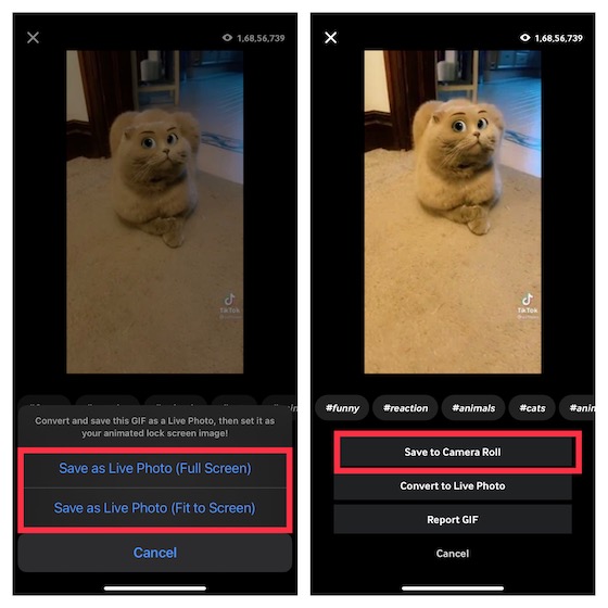 Convierte GIF en Live Photos en iPhone