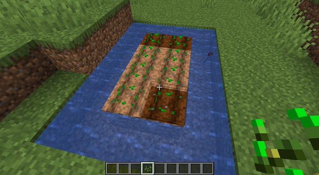 Semillas plantadas en Minecraft