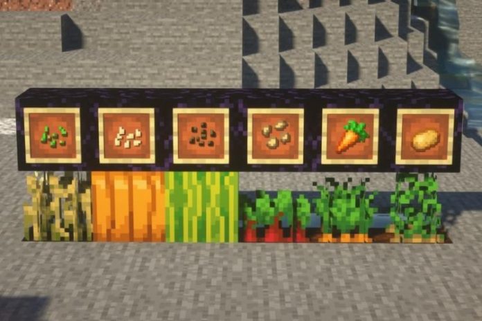 How to Get Seeds in Minecraft Easily in 2021