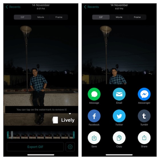 Lively Live Photos to GIFs Converter para iOS - Convierta Live Photos a GIF en iPhone