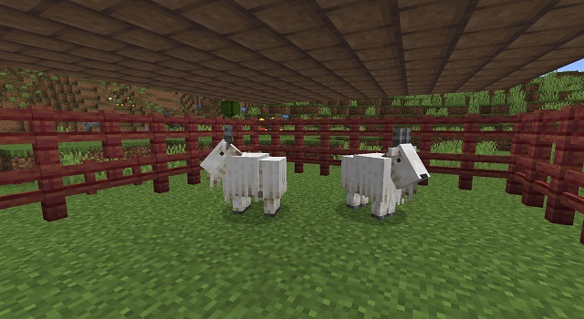 Dos cabras en Minecraft - Cómo hacer una granja de cabras en Minecraft