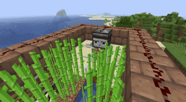 Cómo hacer una granja de caña de azúcar en Minecraft